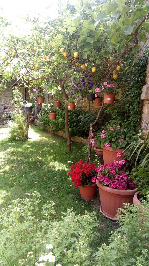 B&B Teresina Villasalto Bagian luar foto